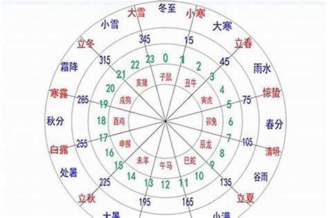 命主属性|怎么看自己的八字属性？